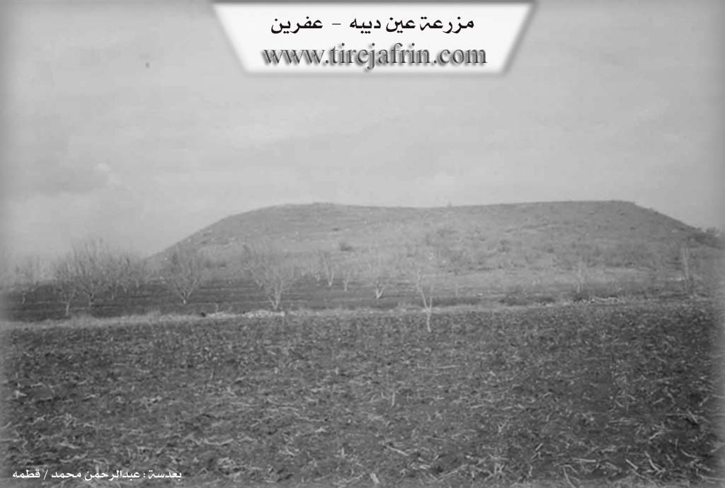 Photo of Endîbê'